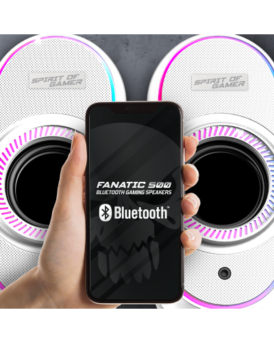 FANATIC 500 ARTIC