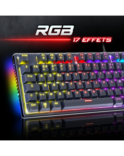 XPERT-K250