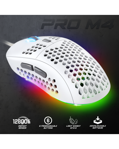 PRO-M4 ARTIC