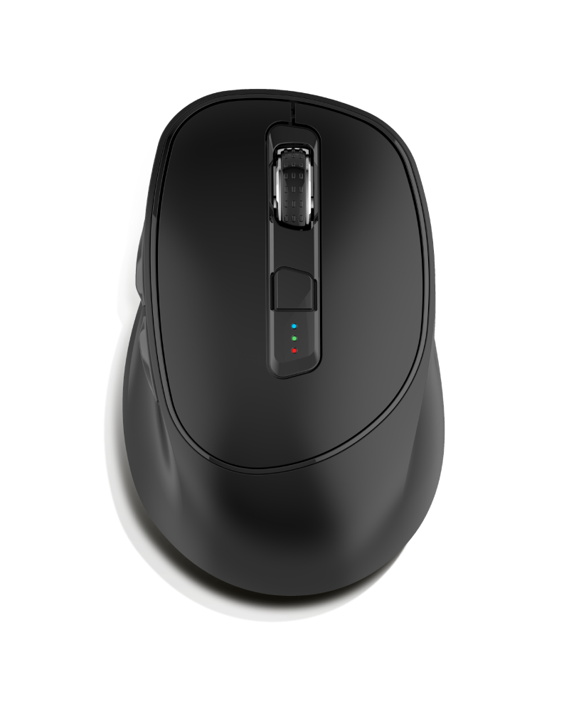 ERGOFIT Souris sans fil