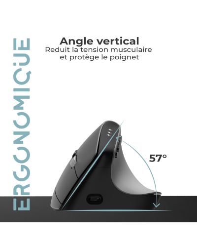 VERTICAL FX