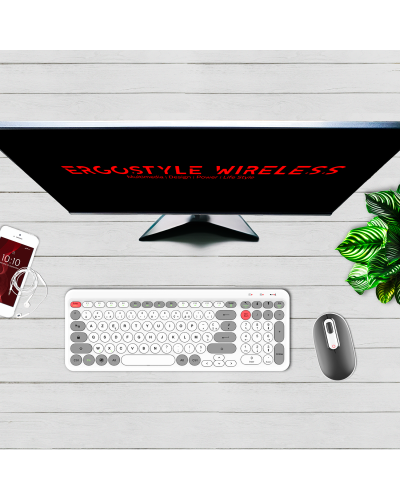 ERGOSTYLE