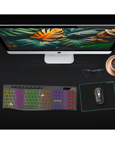 R-TYPE PLUS WIRELESS