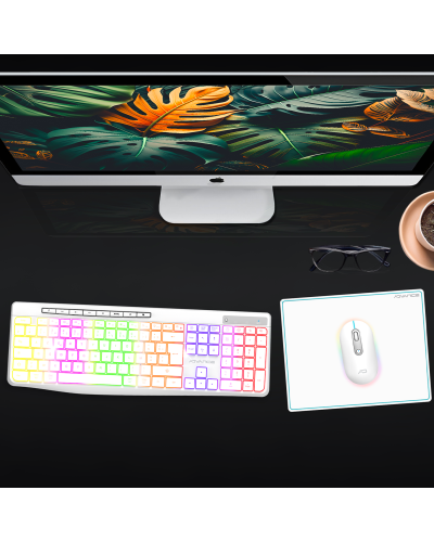 R-TYPE PLUS WIRELESS