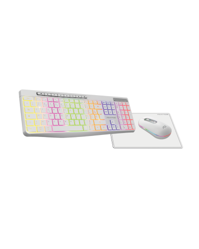R-TYPE PLUS WIRELESS