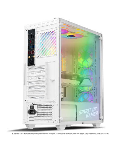 REBEL NX ARTIC