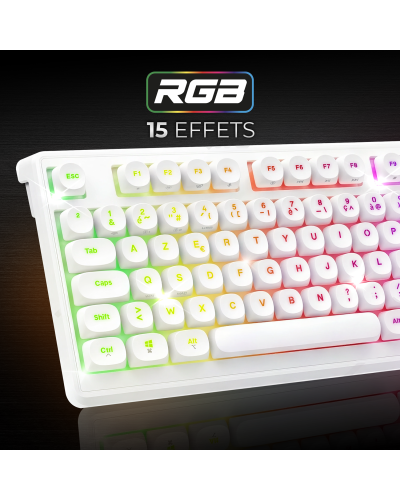 ELITE K60 ARTIC