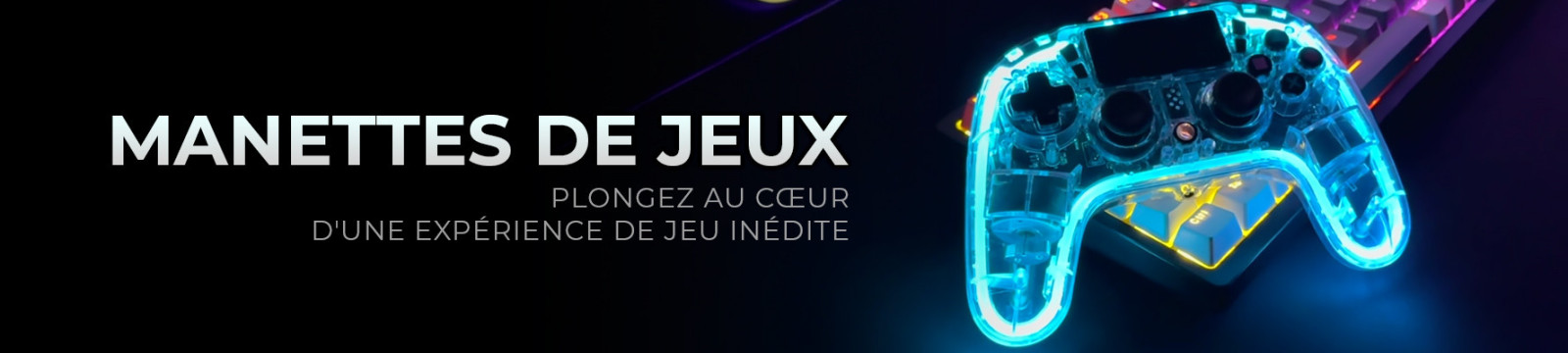 Manettes de Jeu